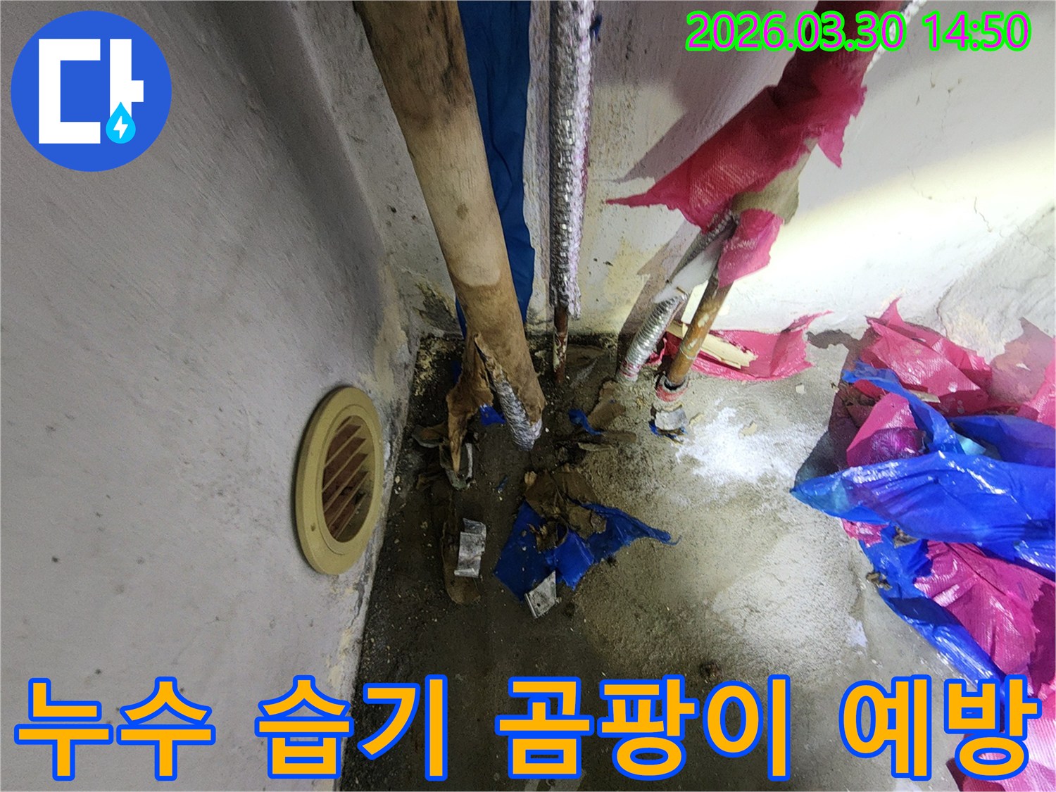 송파구 마천동-누수로 인한-습기 발생 현장에서-곰팡이 예방을 위해-점검하는 모습입니다