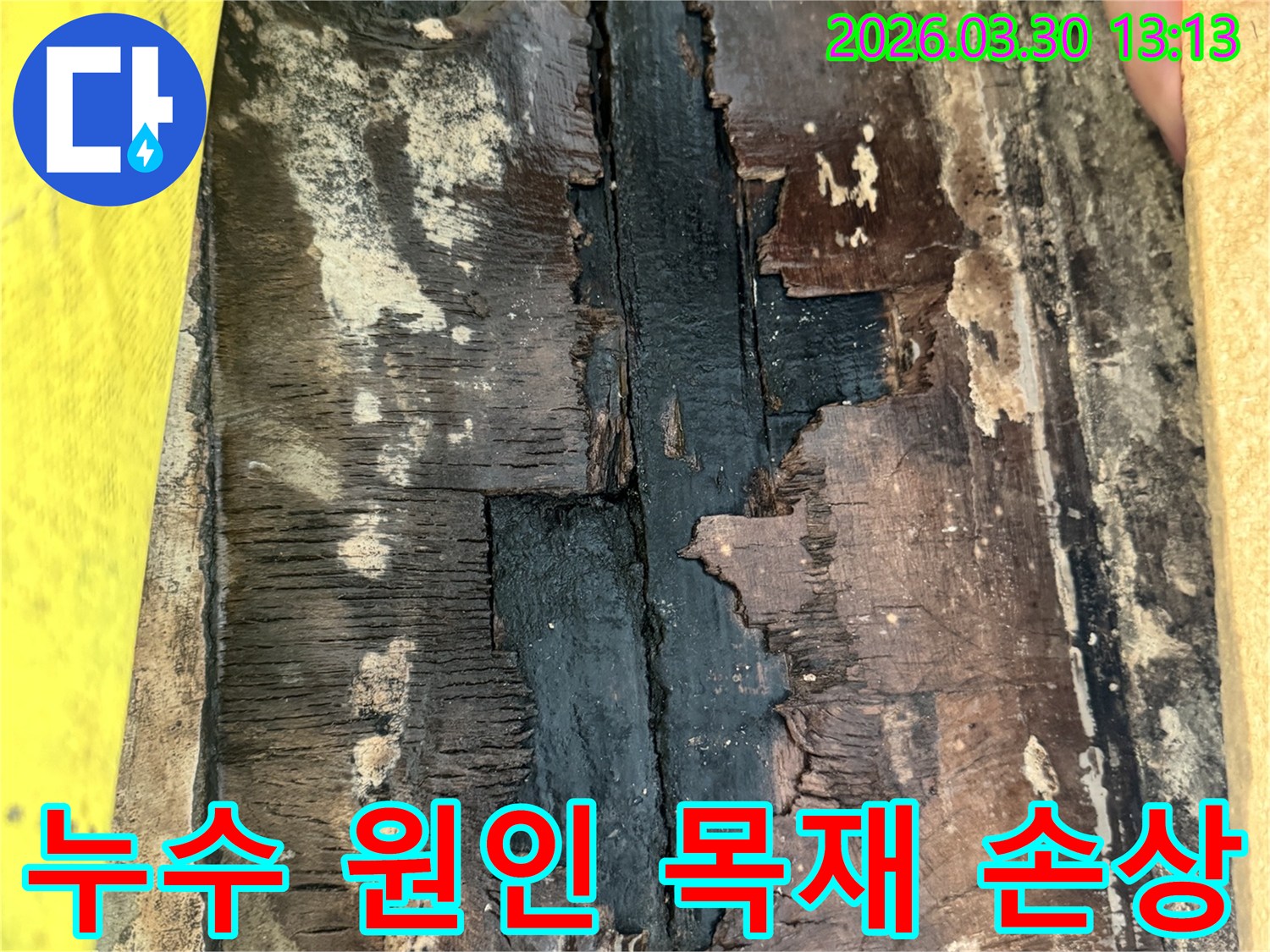 누수 원인으로 인해-목재가 물에 젖어-부식되고-페인트가 벗겨진 심각한 손상 상태