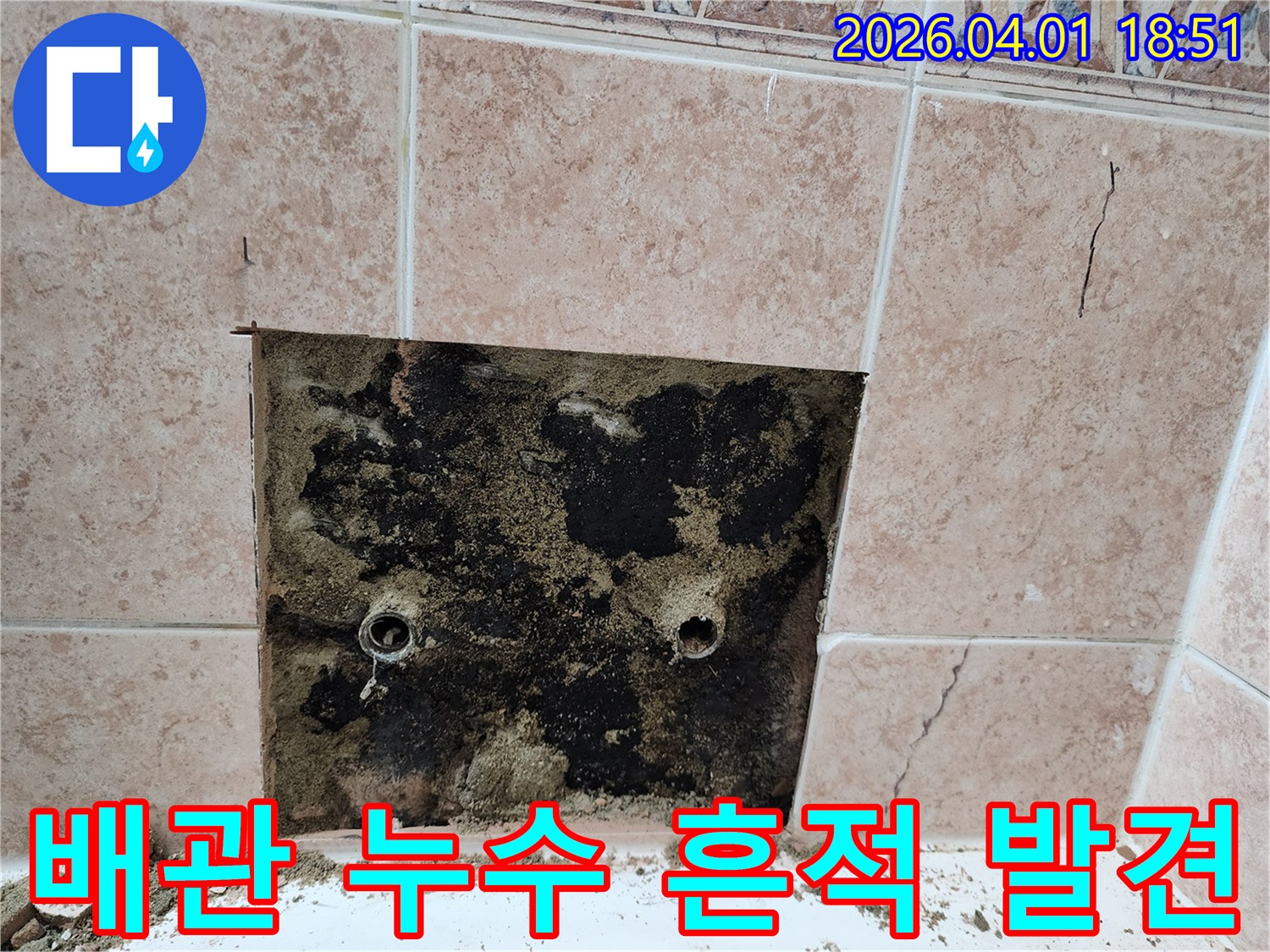 오래된-화장실 배관에서-발생한 누수로-벽이 젖고-곰팡이가 핀-상태