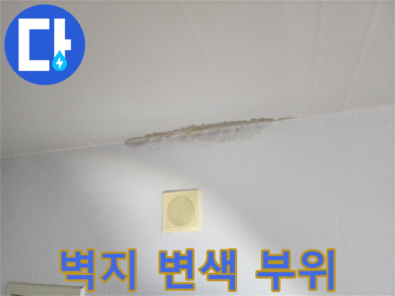 천장 경계면을 따라 넓게 퍼진 누수 흔적과 습기 자국