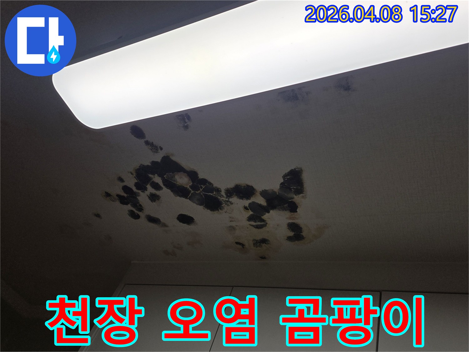 아파트 천장에 발생한-심각한 누수 오염과-검은 곰팡이가 번진 모습