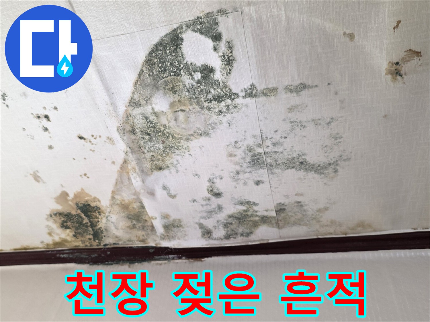 누수로 인해 물이 스며들어 곰팡이가 발생한 천장 부위