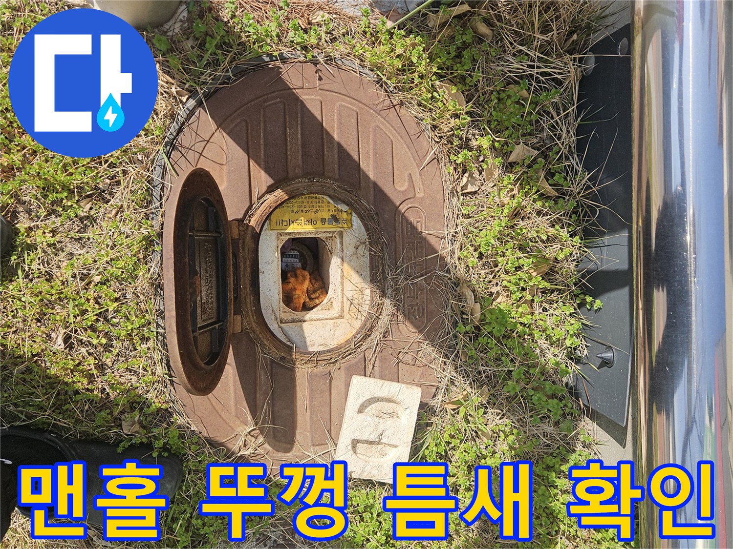맨홀 주변의 습한 토양과 배수 불량 구간 촬영
