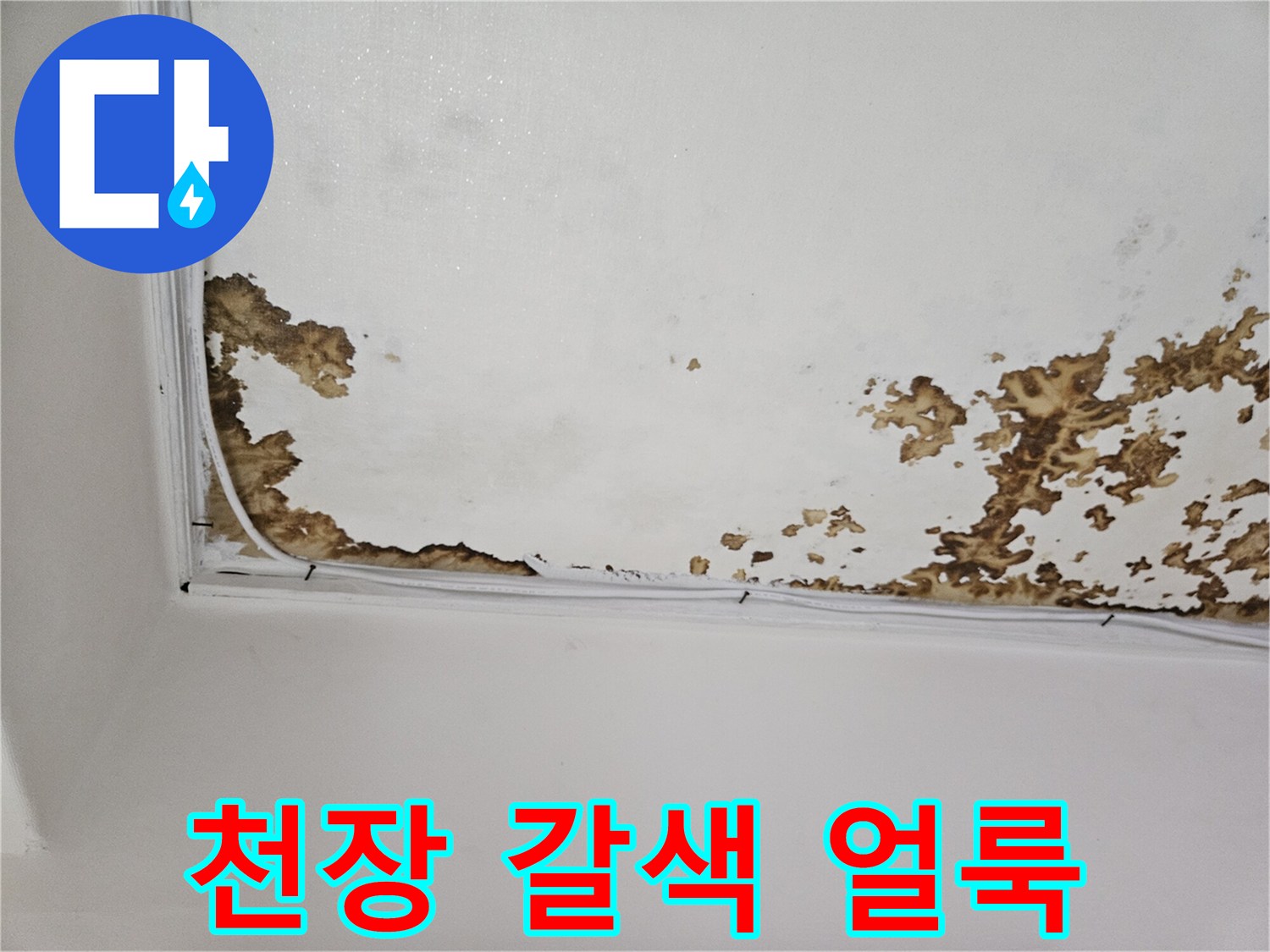 천장 벽면의 누수 흔적과 젖은 부위 상세 사진