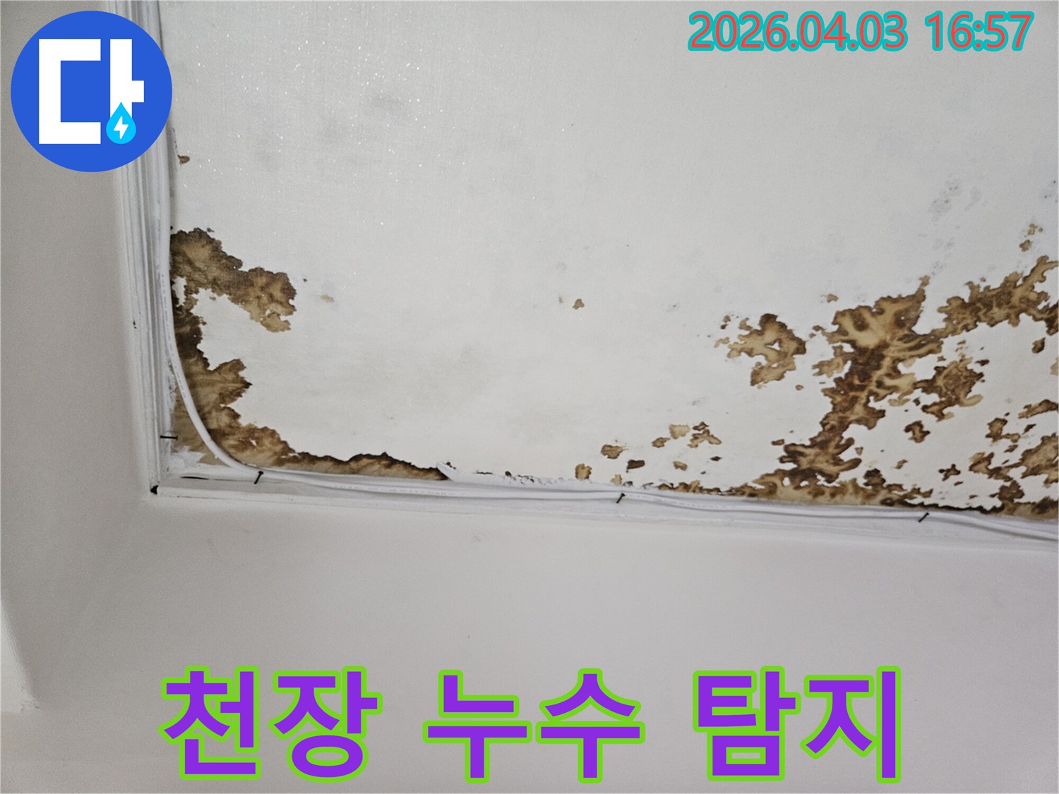 천장 표면에 얼룩덜룩하게 번진 누수-자국을 통해-탐지가-필요함을 보여주는 사진