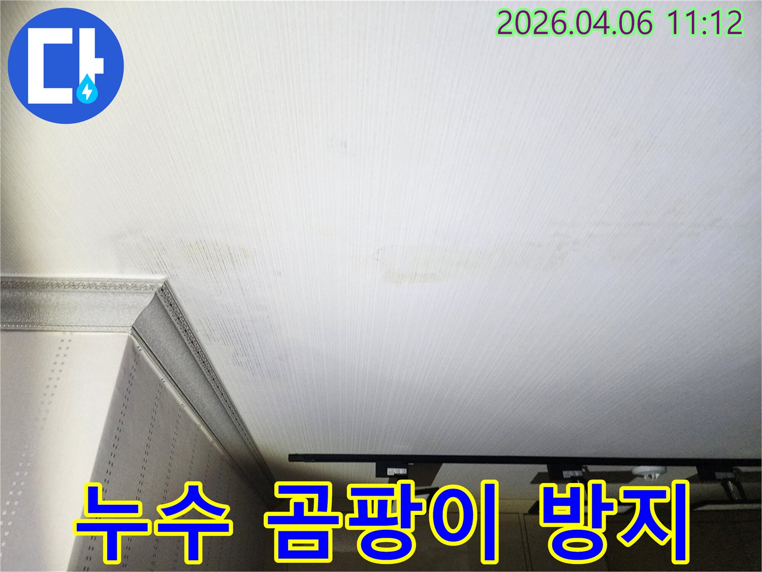 천장에-번진-물자국은-곰팡이-발생-위험을-알리며-신속한-조치가-필요합니다