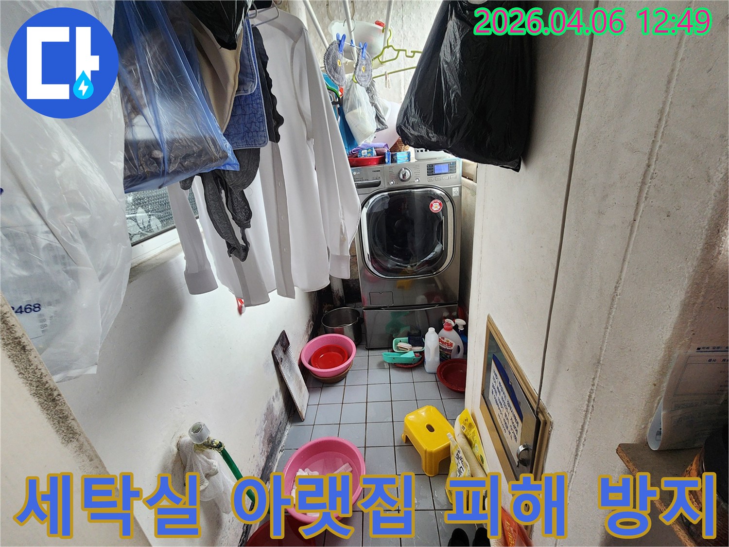 세탁실 바닥에 물이 고여 있고-벽면에 곰팡이가 심하게 피어있는-광명 철산동 아파트 누수 현장