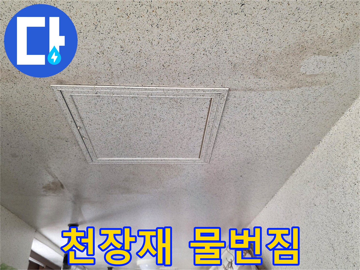 세탁실 천장 마감재에 넓게 퍼진 누수 흔적과 습기 자국