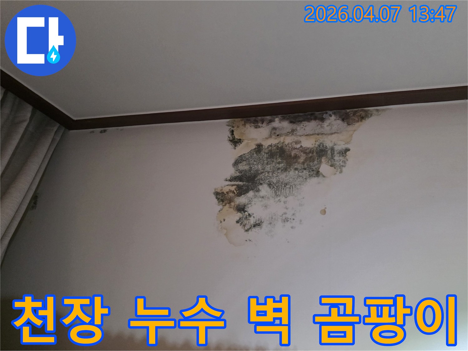 주택 내부-벽면에서 발견된-심각한 물샘과-그로 인한-곰팡이 오염을-보여주는-사진 자료입니다