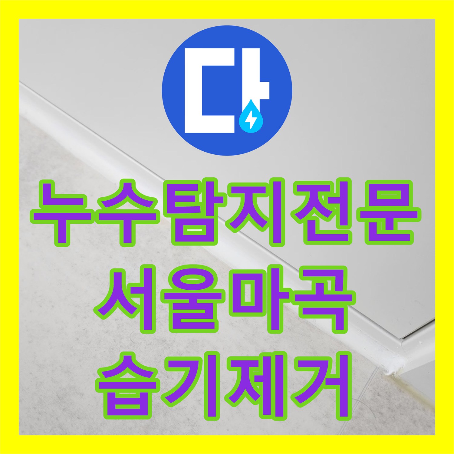누수탐지전문 우수관 방수층 결함으로 인한 거실 벽면 오염 및 습기 제거 서울 강서구 마곡동