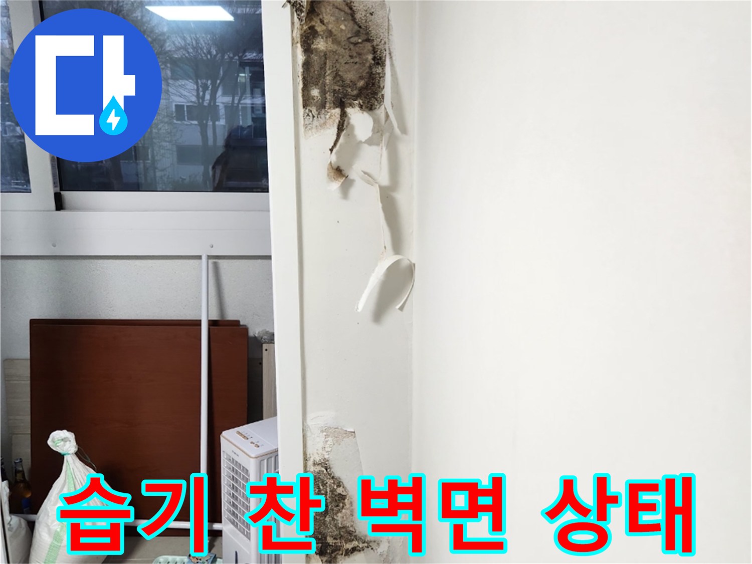 습기가 가득 차서 벗겨진 벽지와 내부 곰팡이 모습