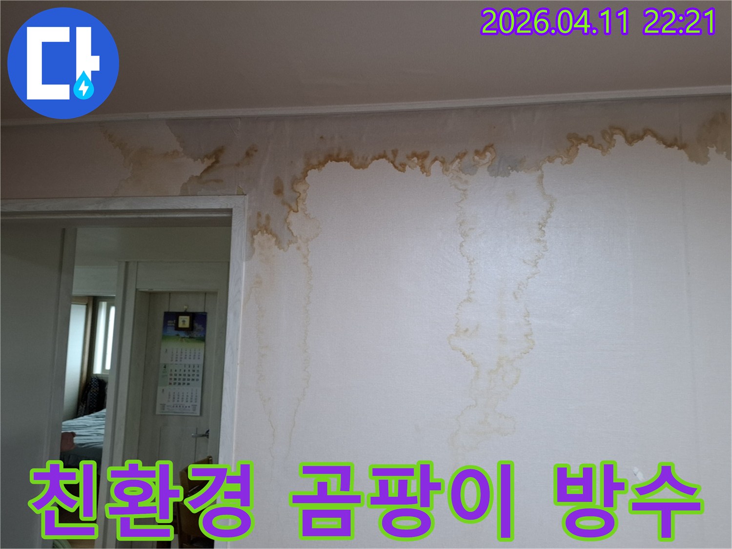 성북구 누리애빌 벽면 누수-친환경 곰팡이 제거 후 완벽한 방수 시공으로 재발 방지