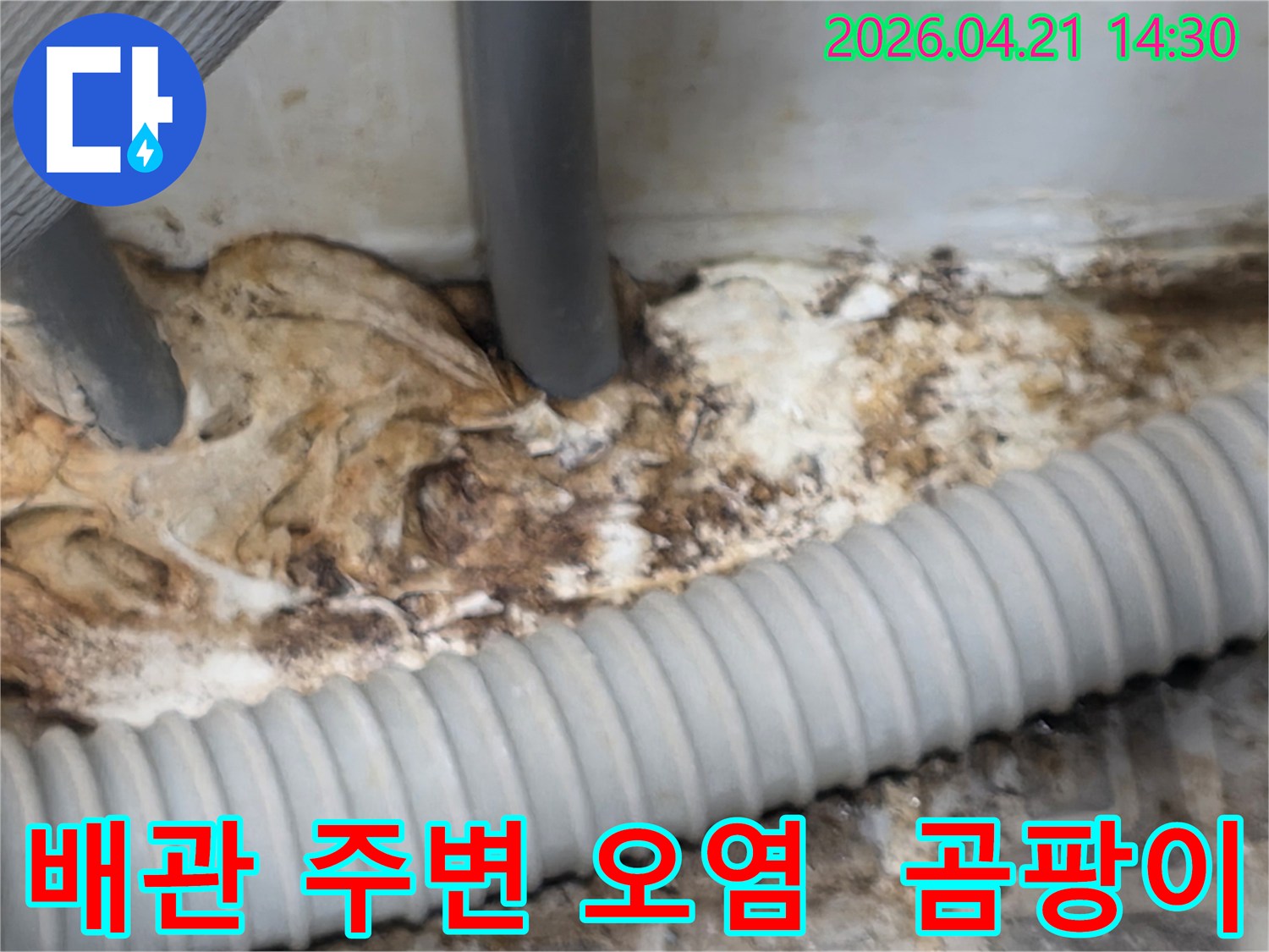 오래된-배관-주변에-발생한-누수로-인해-심하게-오염되고-곰팡이가-번식한-현장의-모습