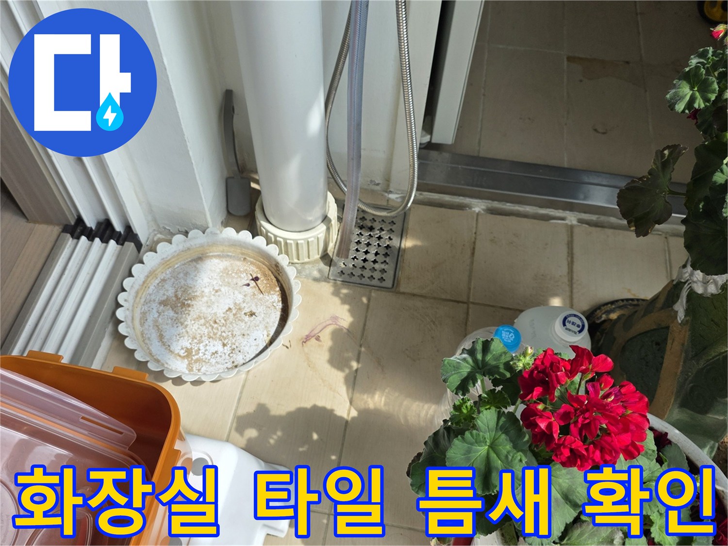 배수구 주변 타일 사이의 습기 및 흔적 조사