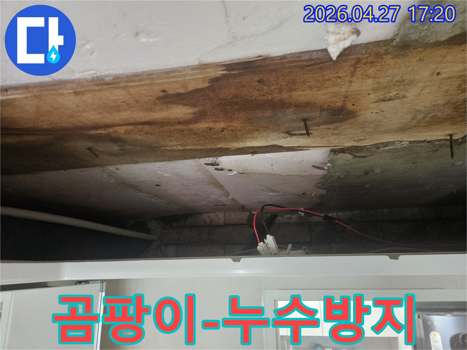 누수로 인해-변색되고 곰팡이가 생긴-천장 모습을-곰팡이 제거 및 방지 공사 전 촬영한 사진입니다