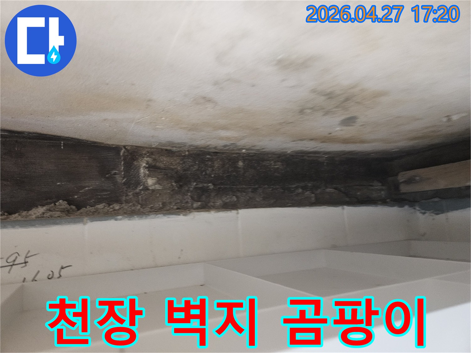 누수로 인해-욕실 천장-벽면에-발생한-벽지 곰팡이와-심각한-오염 상태를-보여주는-현장-사진