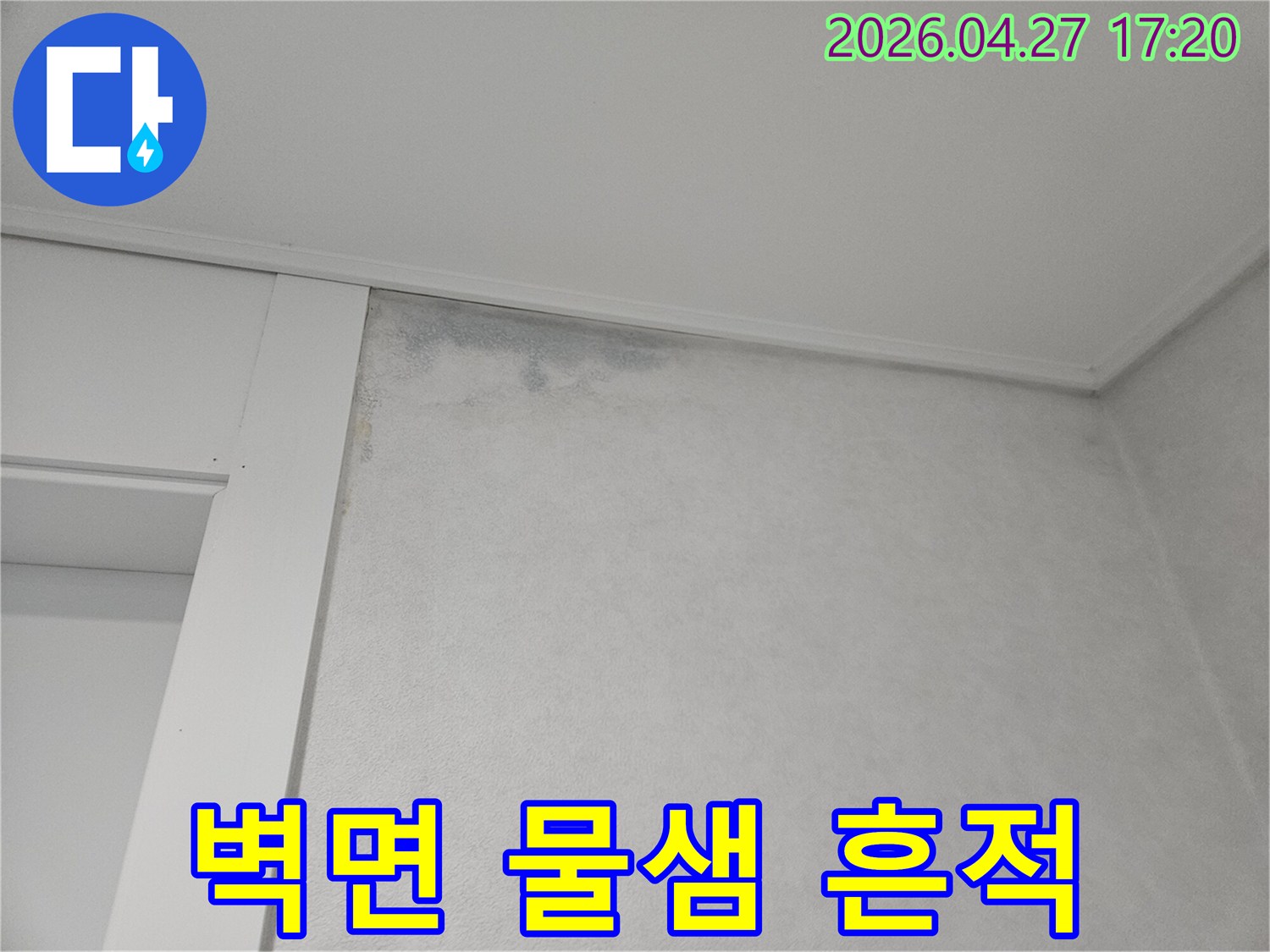 벽지-상단에-물에-젖어-변색된-부분과-곰팡이가-시작된-모습입니다.