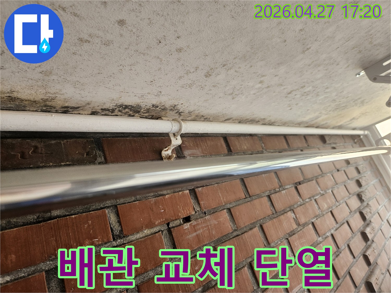 천장 콘크리트의 곰팡이와-녹슨 배관 지지대는-누수 탐지 후 배관 교체 및 단열 공사가 필요합니다