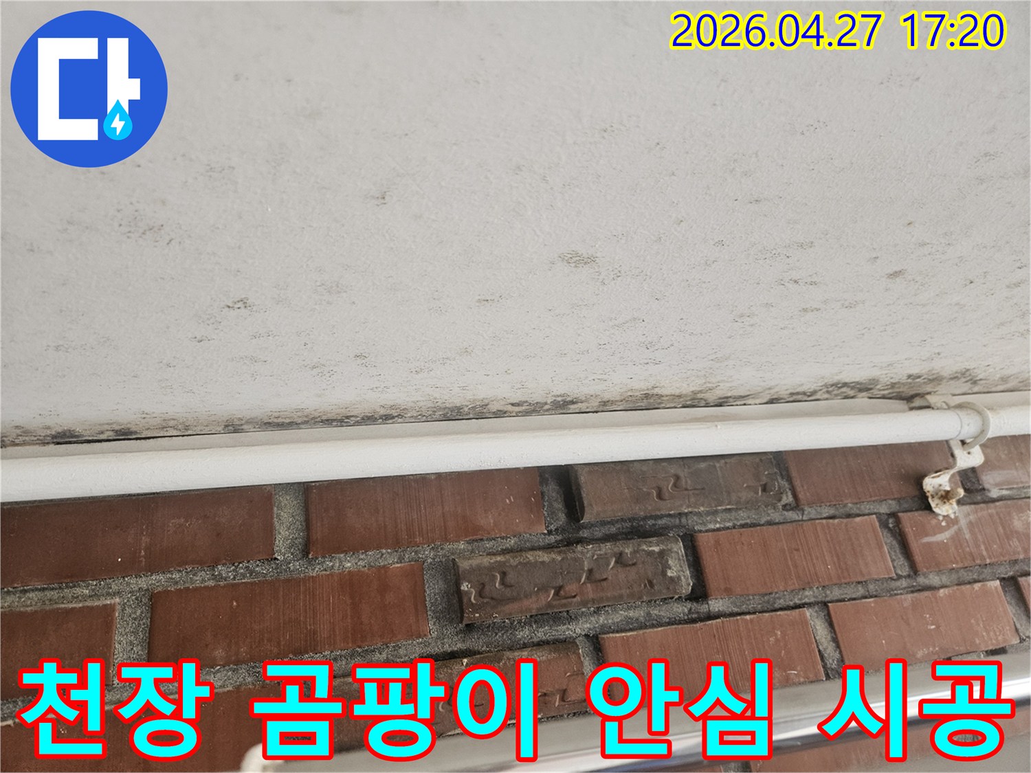 천장과 벽의 경계에 생긴 검은 곰팡이와-누수 흔적이 보이는 현장 사진입니다.