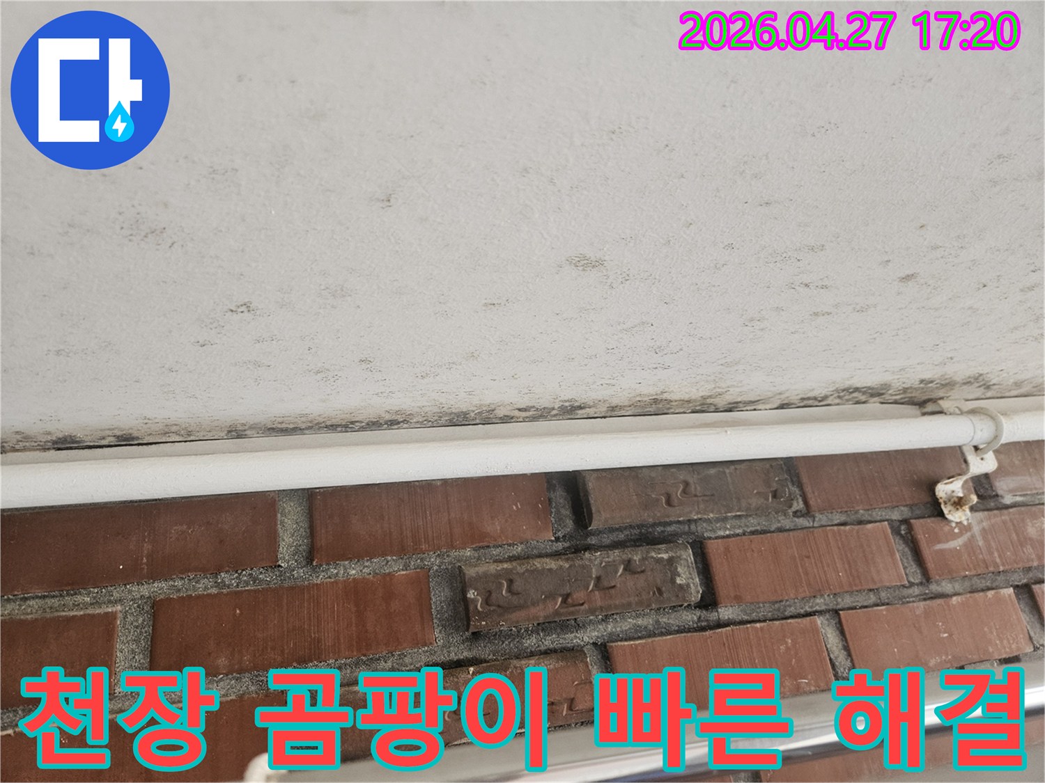 천장과 벽의 경계에 생긴 검은 곰팡이와-누수 흔적이 보이는 현장 사진입니다.