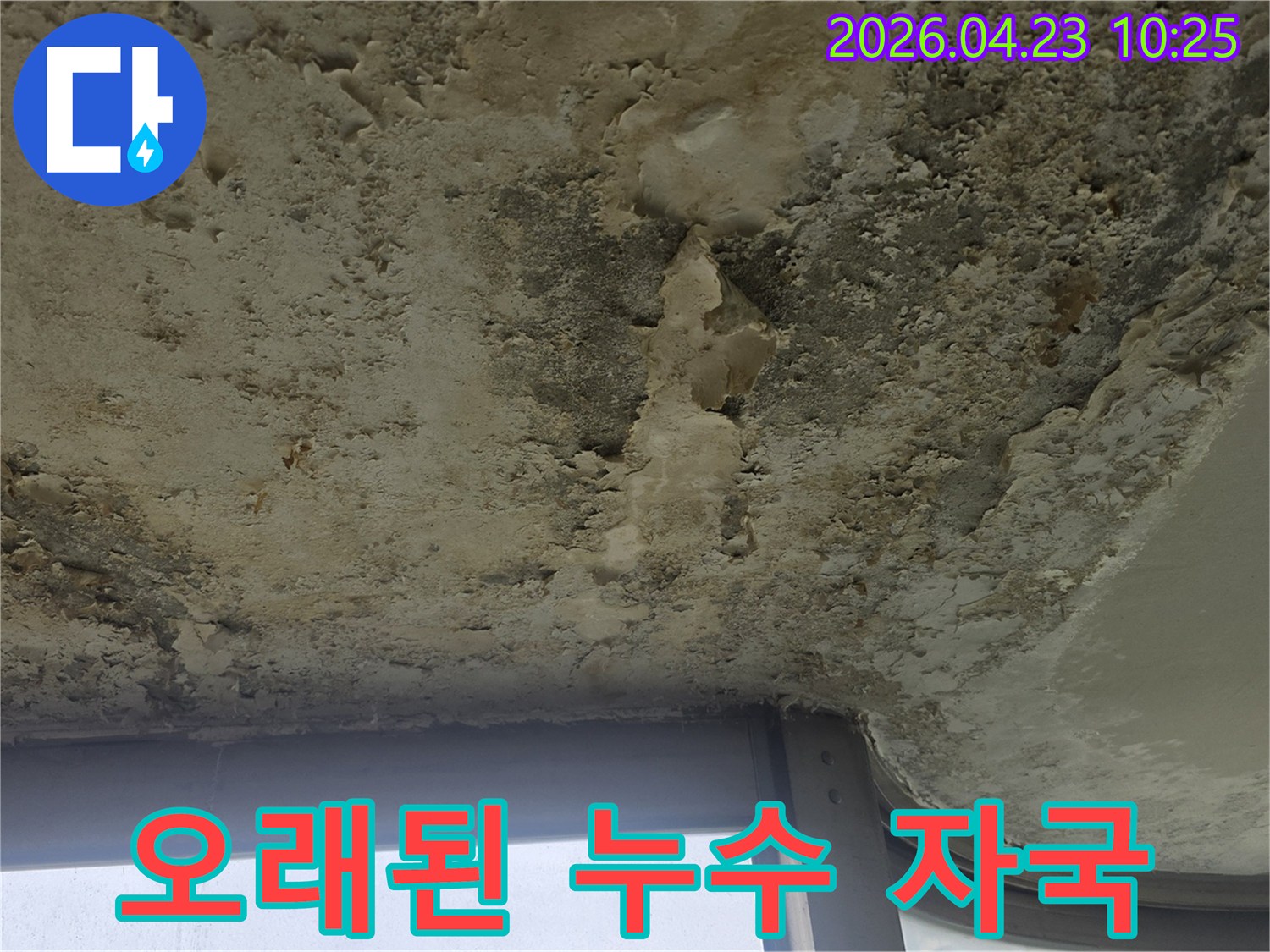 물샘으로 인해 천장 페인트가 들뜨고-얼룩이 광범위하게 퍼진-주거 공간의 누수 피해 현장