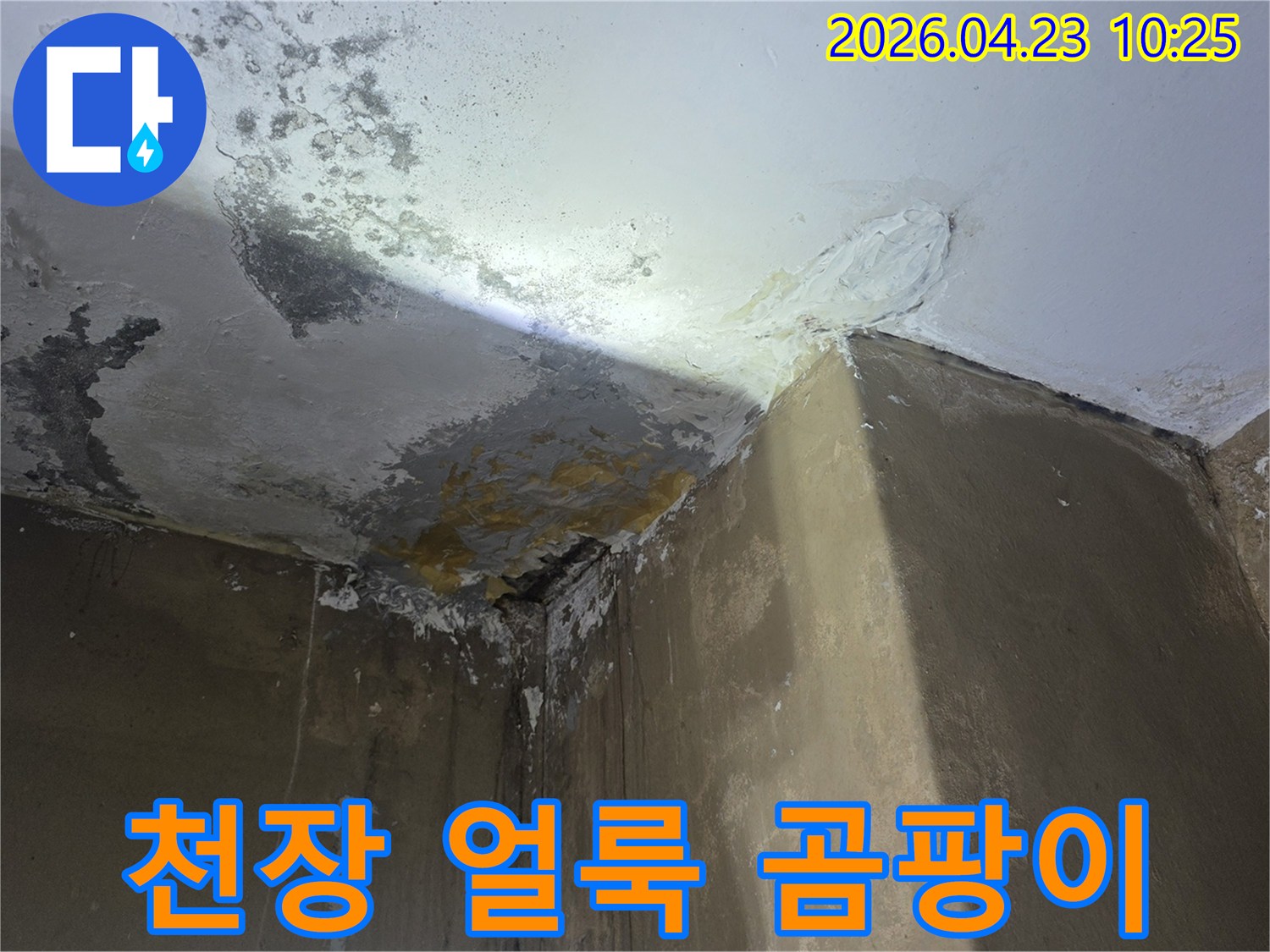 천장-얼룩-곰팡이-동시에-발생한-누수-피해-사진