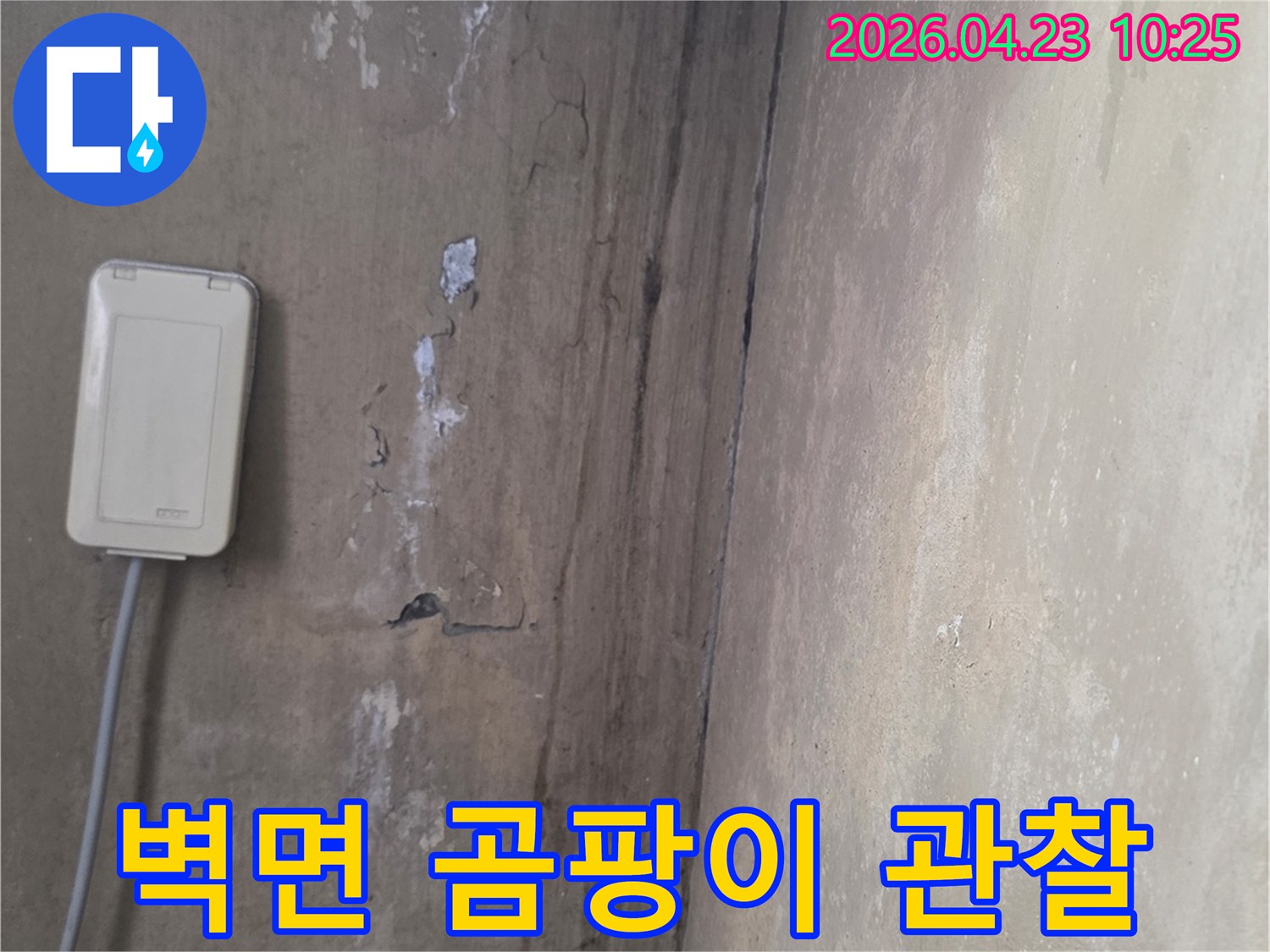 천장과-벽면-경계에-발생한-누수-얼룩과-곰팡이-현상-사진