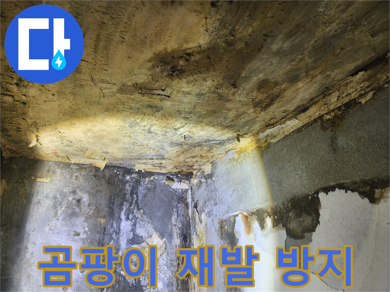 누수로 인해-천장과 벽에 발생한-곰팡이의 재발을 방지하기 위한-조치를 설명하는 현장