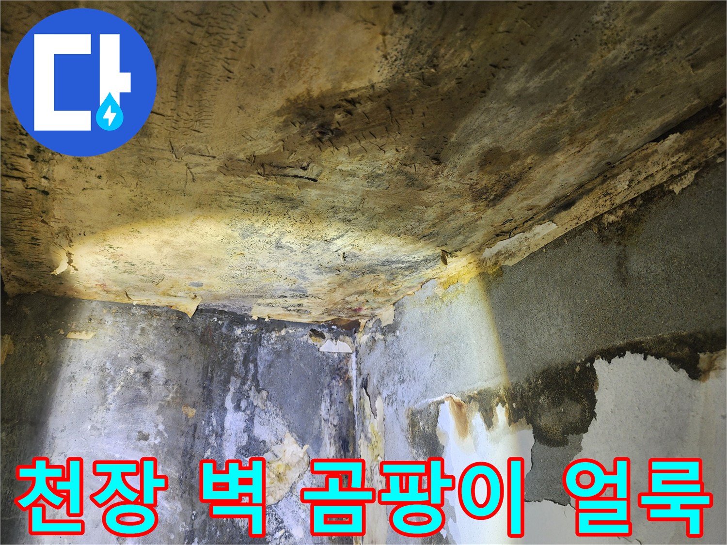 누수로 인해-천장과 벽에 발생한-심각한 곰팡이 얼룩과-벽지 손상 현장