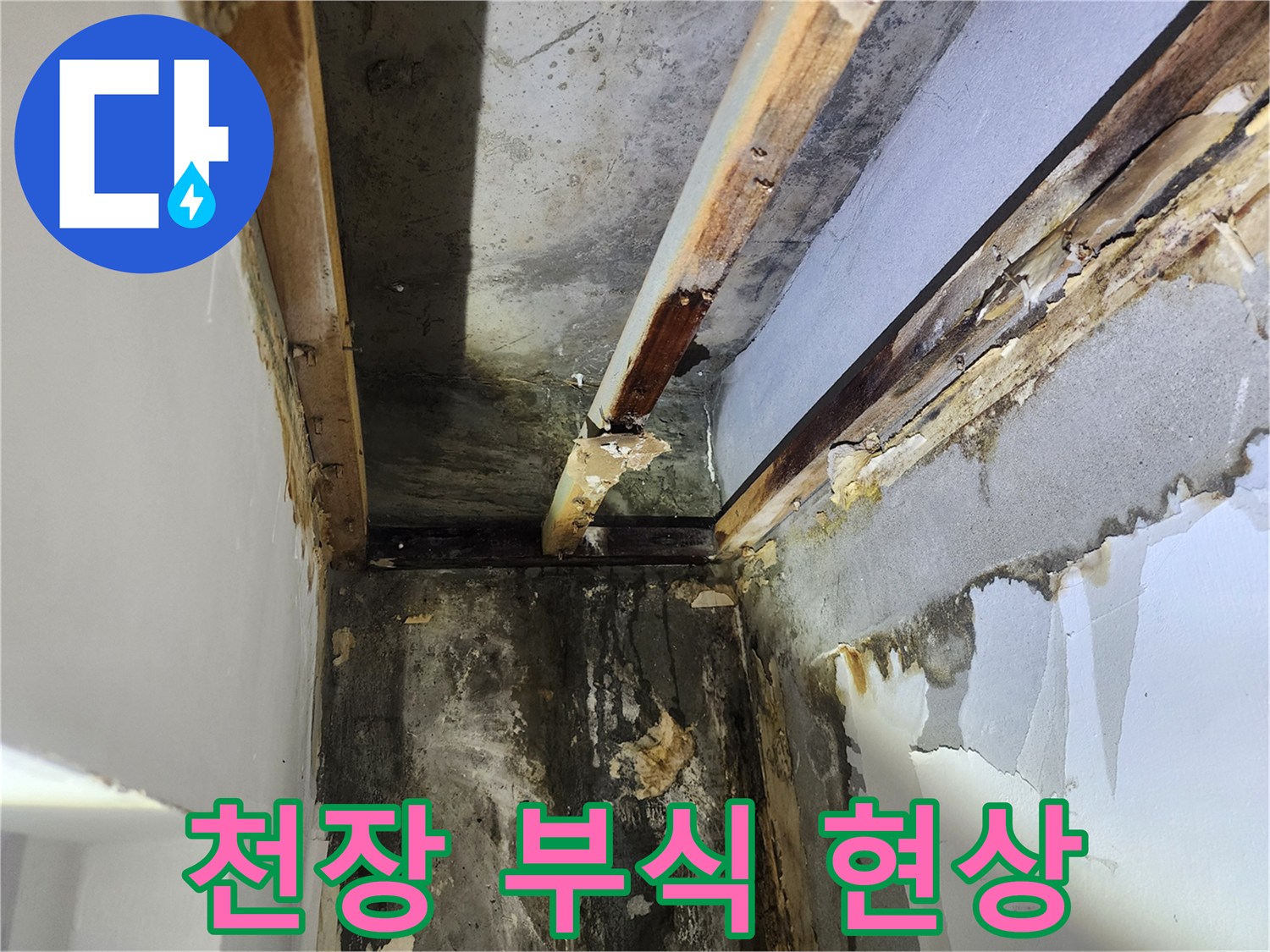 석고보드-제거-후-천장-내부에서-발견된-누수로-인한-심각한-부식-현상