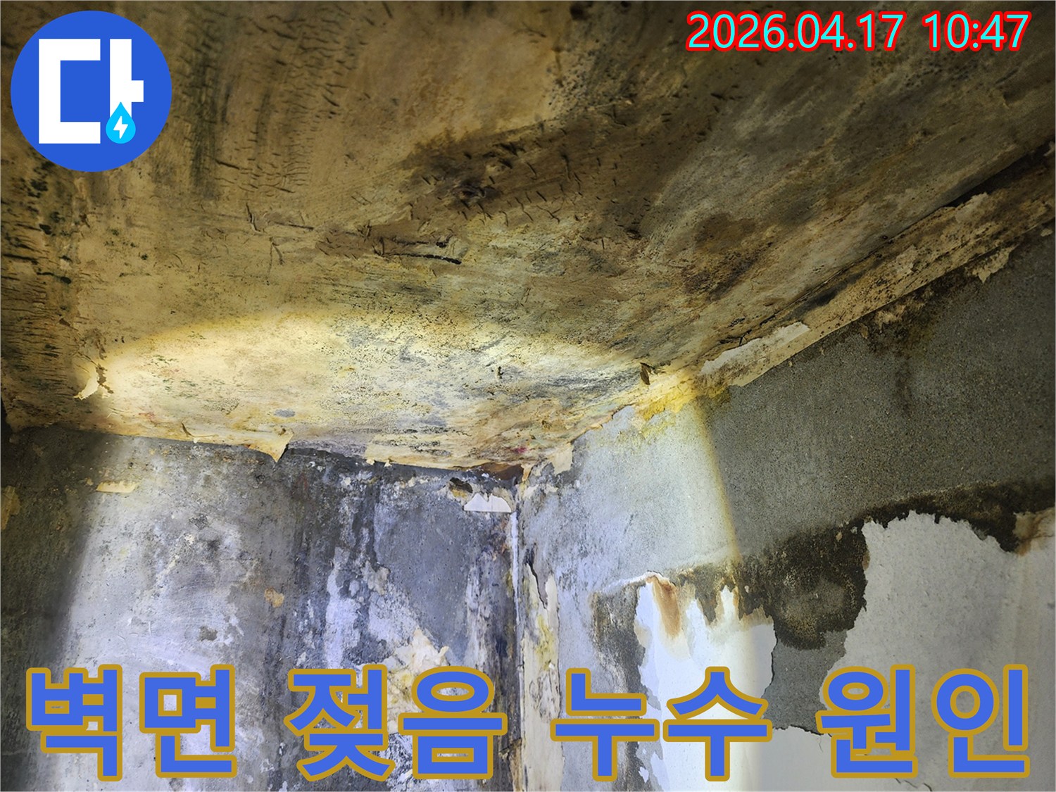 오랜 누수로 인해-천장과 벽면이 심하게 젖고-벽지가 벗겨진 현장 모습