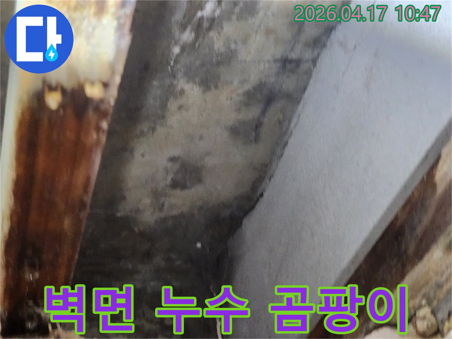 이 사진은 벽면과 천장 경계에서 발생한 누수로 인한 곰팡이와-오염 상태를 명확히 보여줍니다