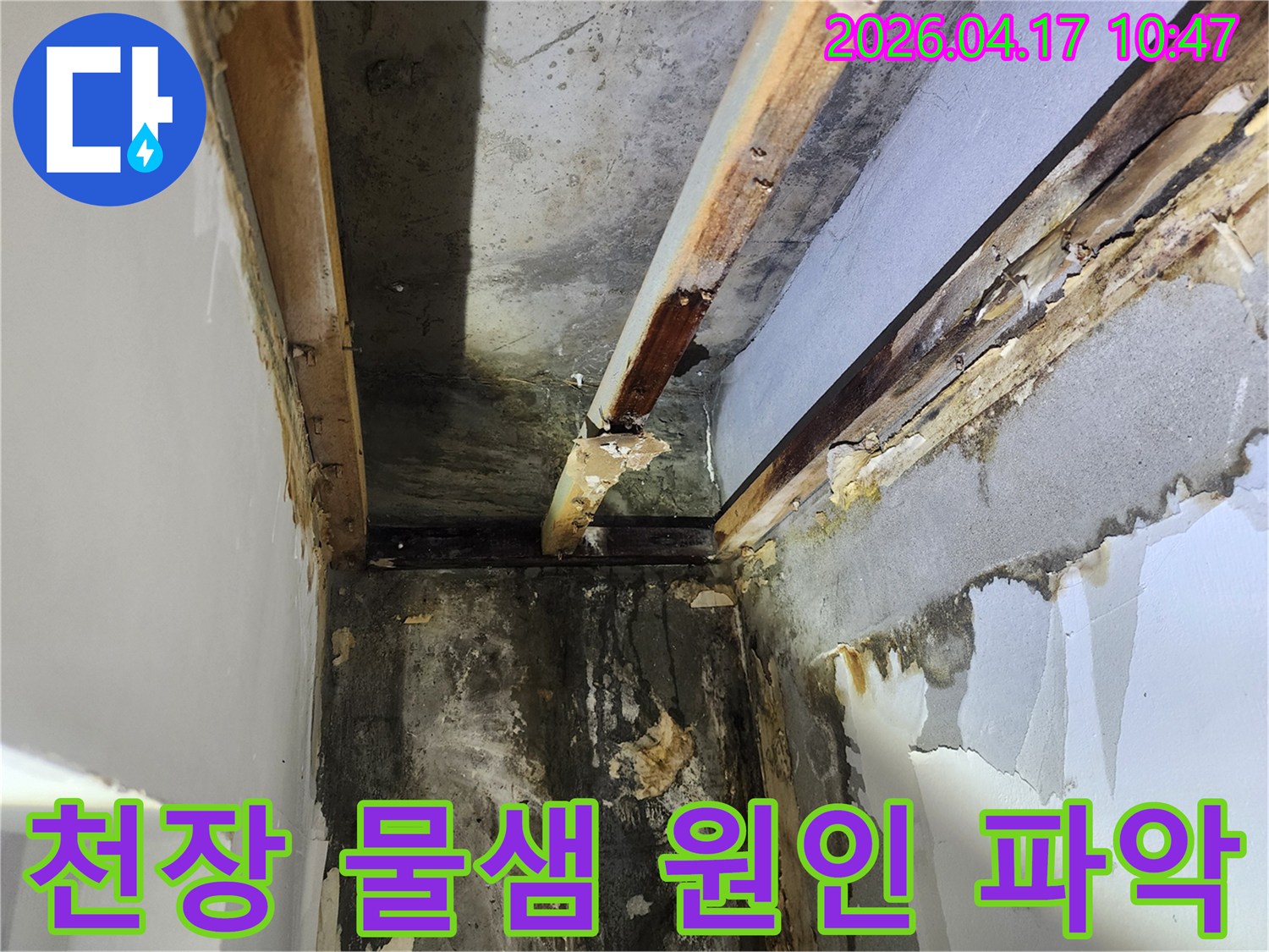 이 이미지는-서울 서초구 잠원동 아파트에서-천장 누수로 인해 발생한-심각한 벽면 오염과-목재 부식 상황을 보여줍니다
