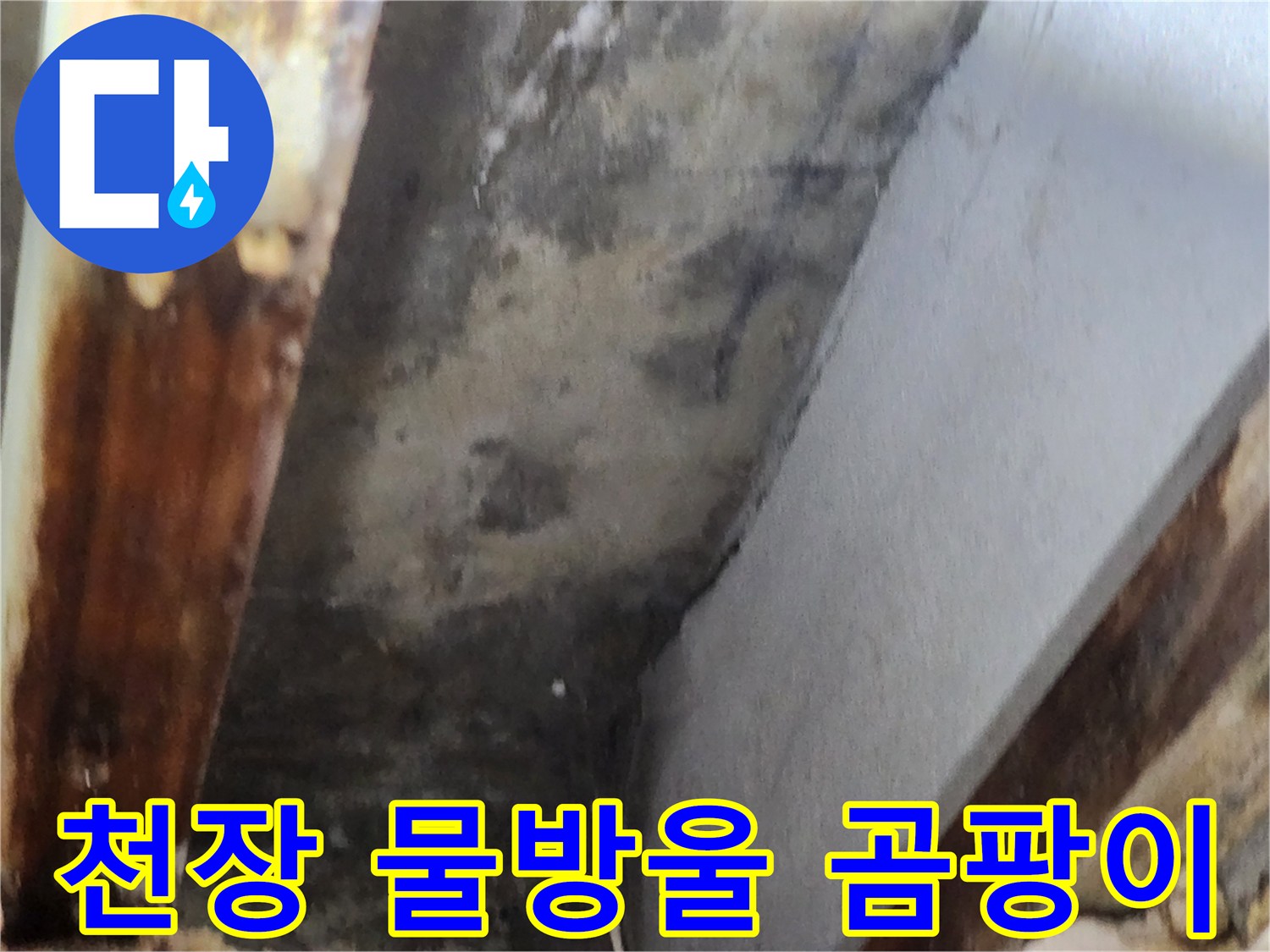천장 모서리 부분에 맺힌 물방울과-그로 인해 번식한 곰팡이 현장을 보여줍니다