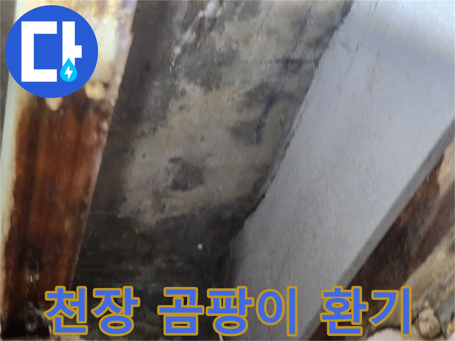 천장 모서리에 발생한 곰팡이를 제거하고-환기 솔루션을 적용하는 현장 이미지입니다