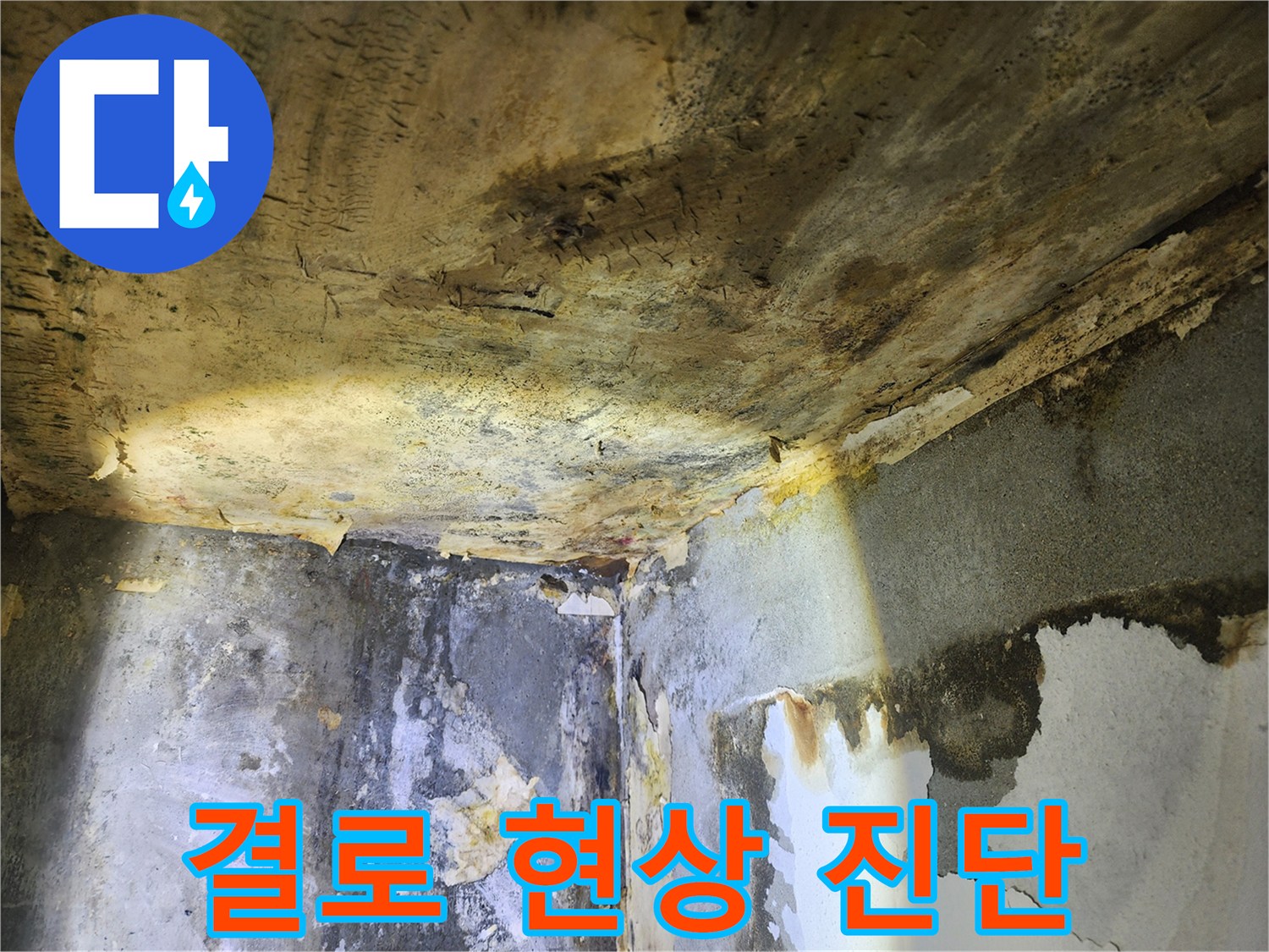천장과 벽에 발생한-누수와 유사한 결로 현상을-진단하는 현장 모습
