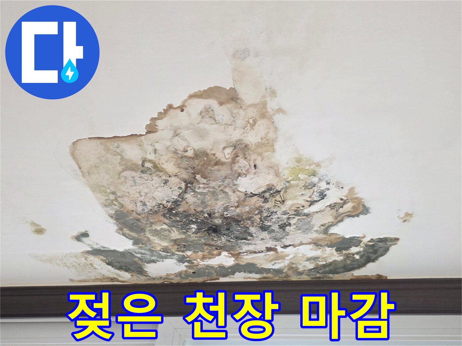 천장 중앙-누수로 인한 심한 얼룩과 곰팡이