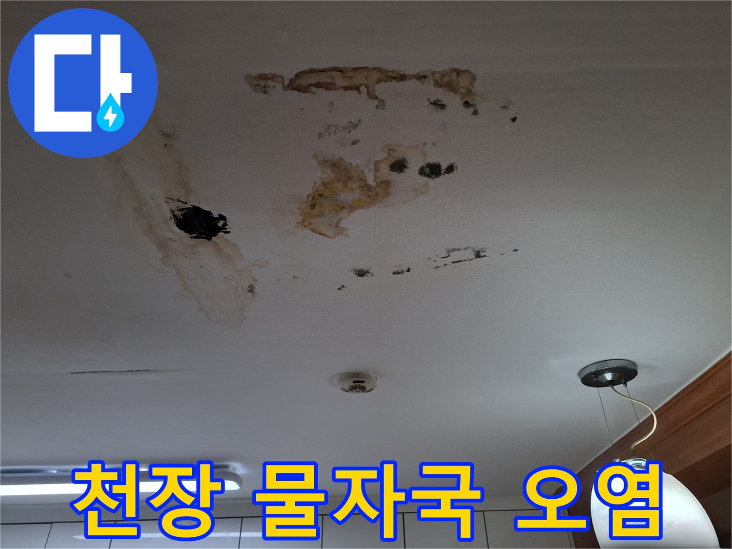 갈색 물자국과 검은 곰팡이가 발생한 천장 모습