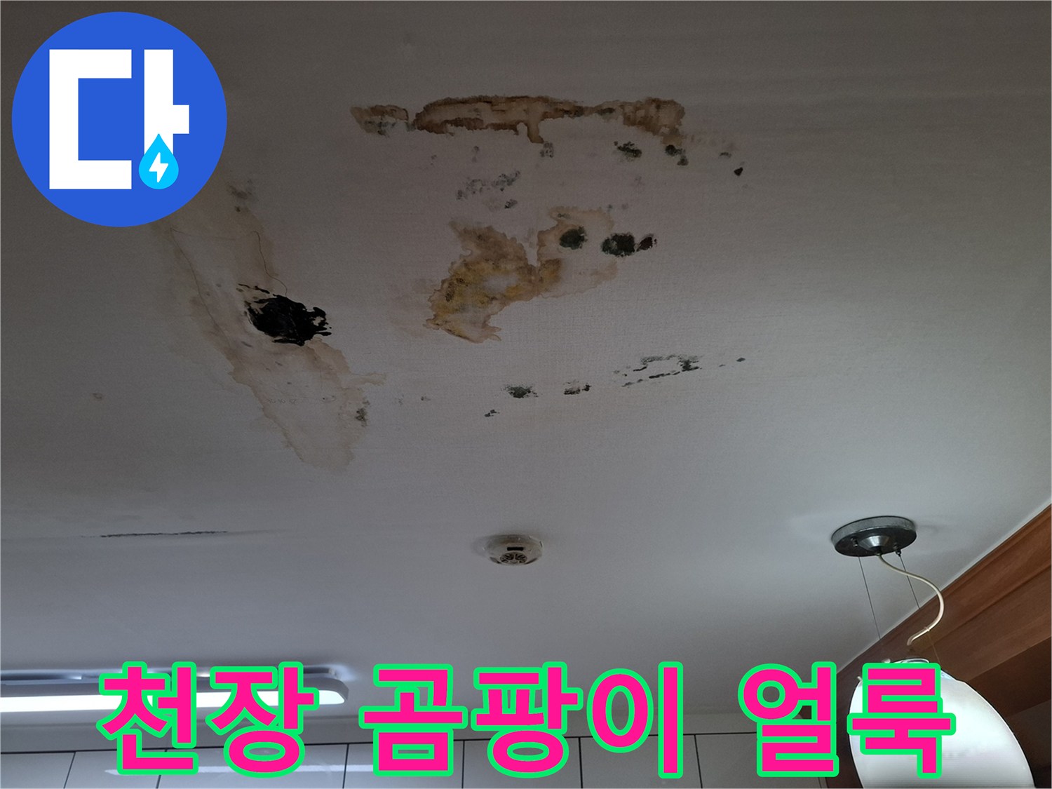 갈색 물자국과 검은 곰팡이가 있는 천장 이미지