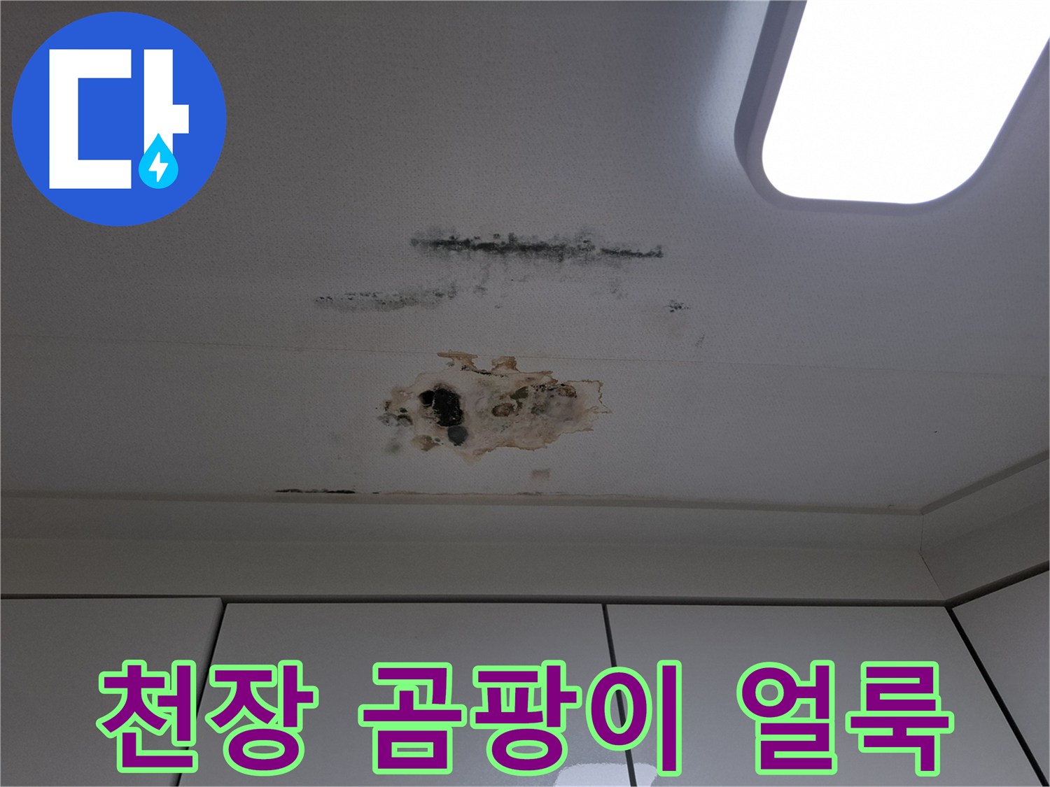 남양주 평내동 아랫집 천장에 발생한 검은 곰팡이와 갈색 물자국 현황