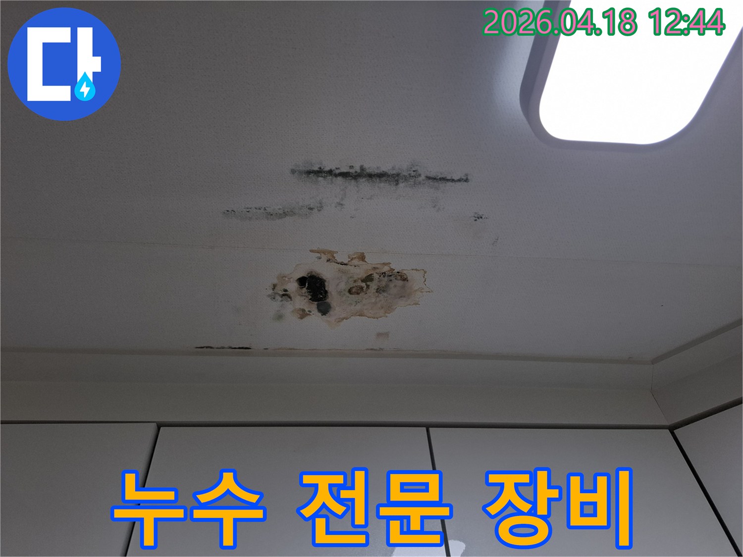 누수로-인해-천장-마감재가-손상되고-곰팡이가-번식한-아파트-천장-부분-전문-장비-활용-필요