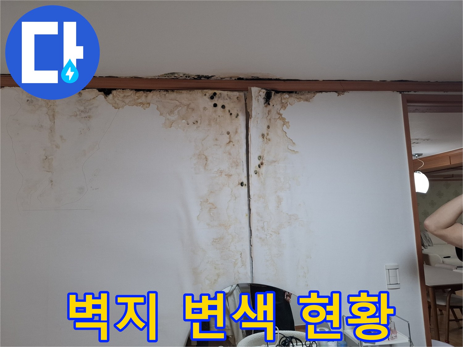천장 상단부의 광범위한 갈색 변색과 곰팡이 오염 부위