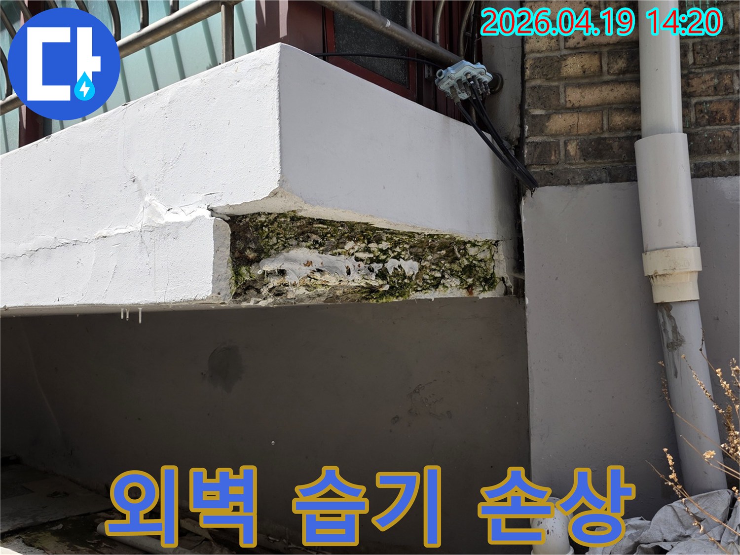 외벽으로-습기가-침투하여-벽면이-젖고-곰팡이가-피어있는-누수-현장