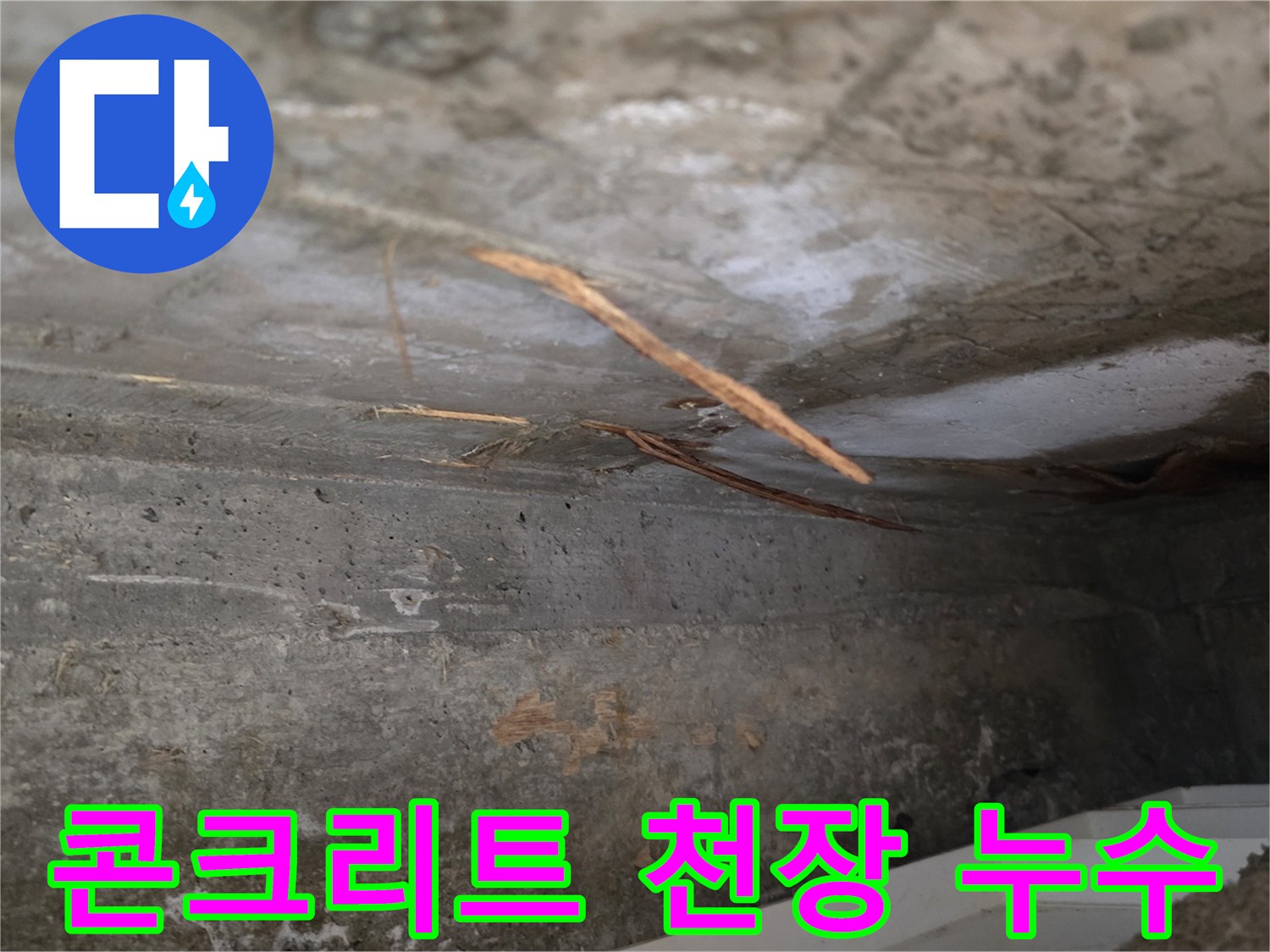 천장 콘크리트의-젖은 부분과-함께-드러난-이물질의-누수 현장