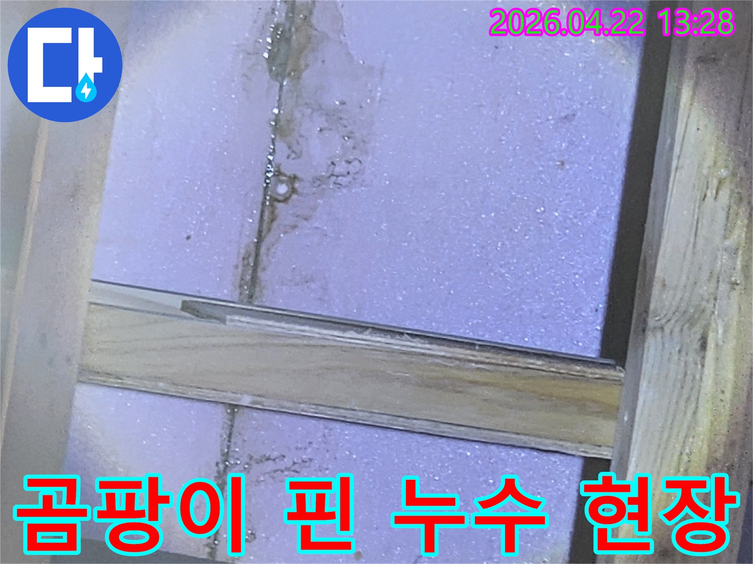 천장 내부의-심각한 누수로 인해-발생한 곰팡이와-물기 흔적을-선명하게 보여주는-진단 사진입니다