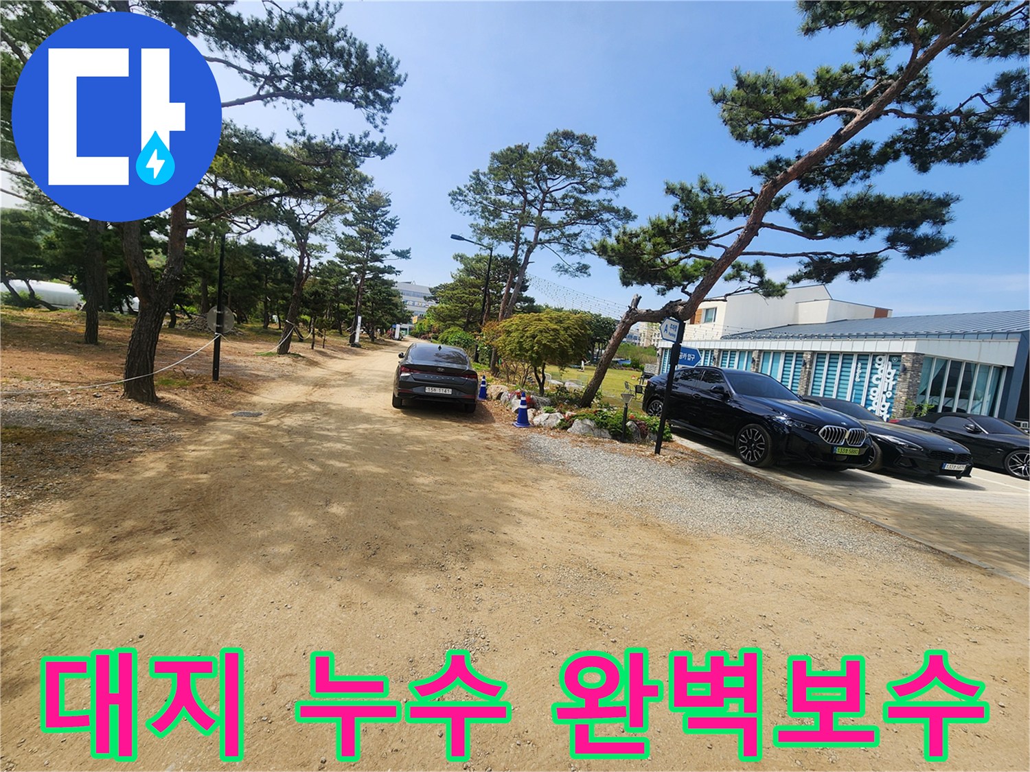 넓은 야외 부지와 소나무가 있는-자연 환경 속에서 누수 탐지 후-보수 작업이 필요한 현장입니다.
