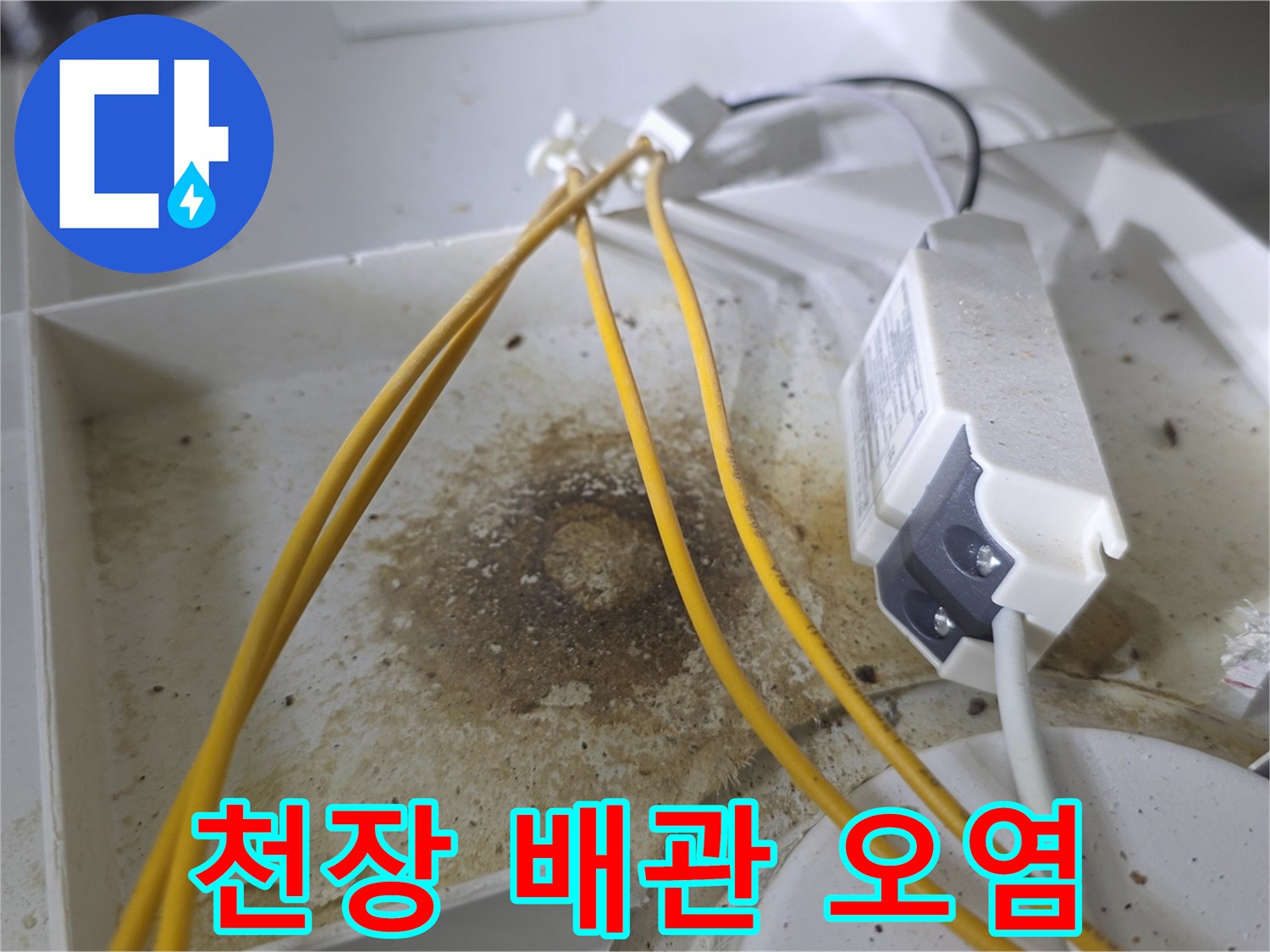 노란-배관-및-전선-주변의-심한-물자국-현황