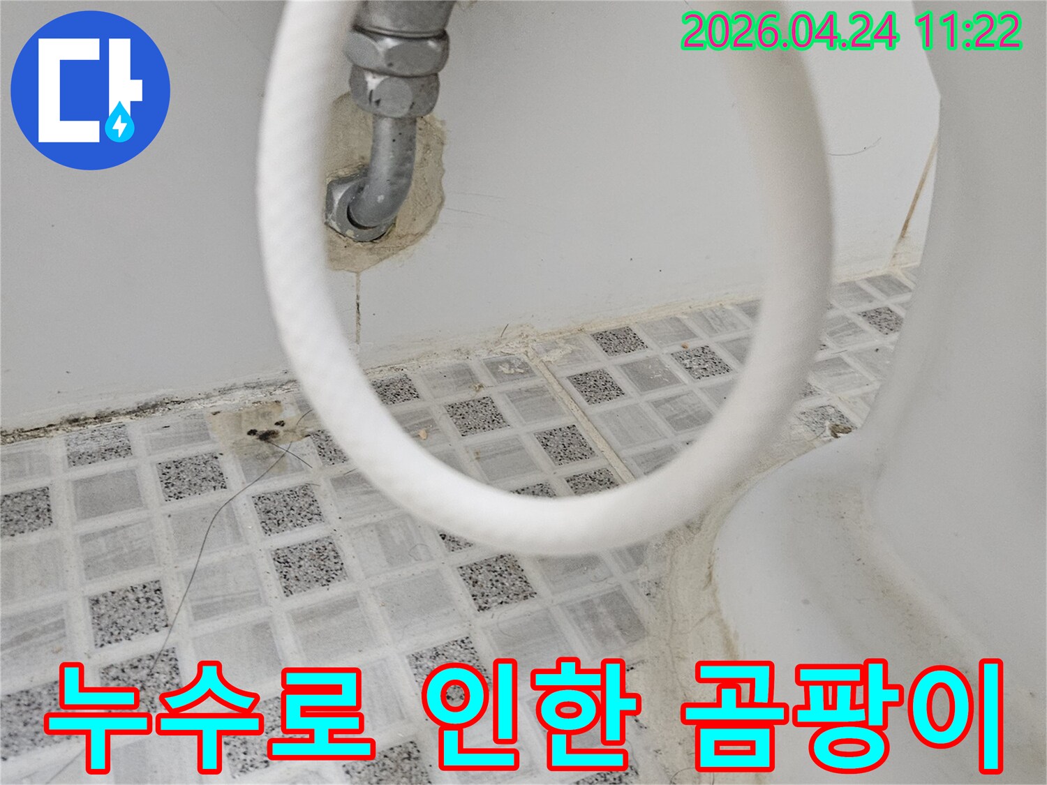 욕실 벽면과 타일 줄눈에-누수로 인해 발생한-곰팡이와 오염 흔적을-자세히 보여주는 사진입니다.