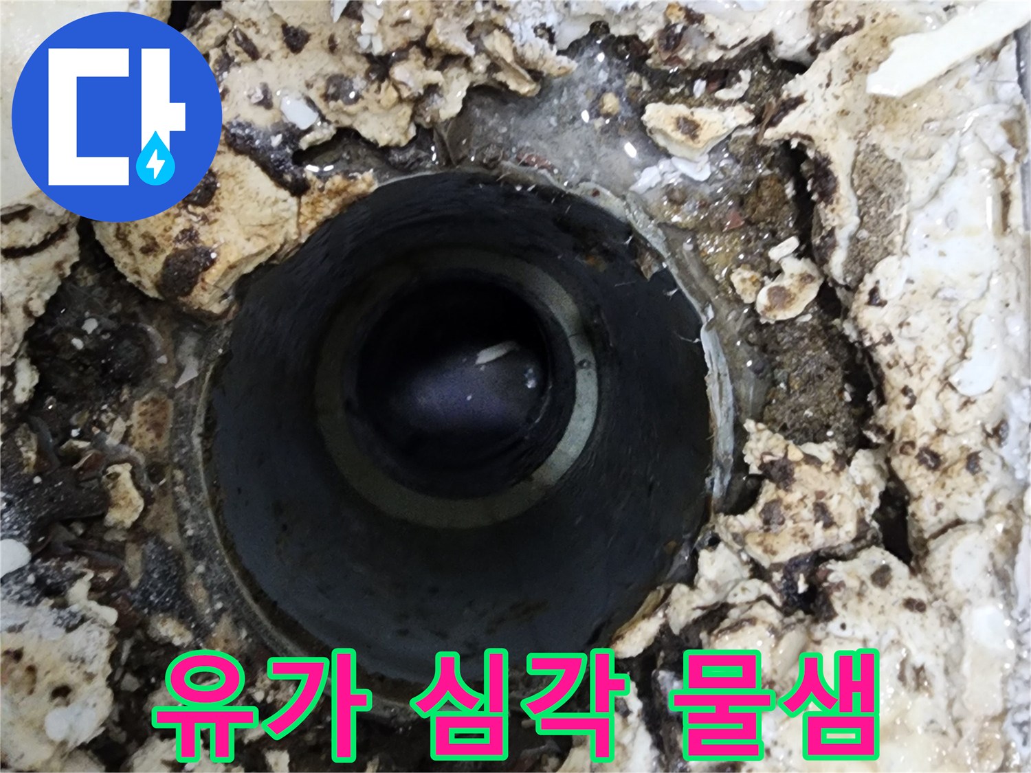 빌라 화장실의 오래된 유가 주변에서-발견된 심각한 물샘 현상을-정단하는 모습