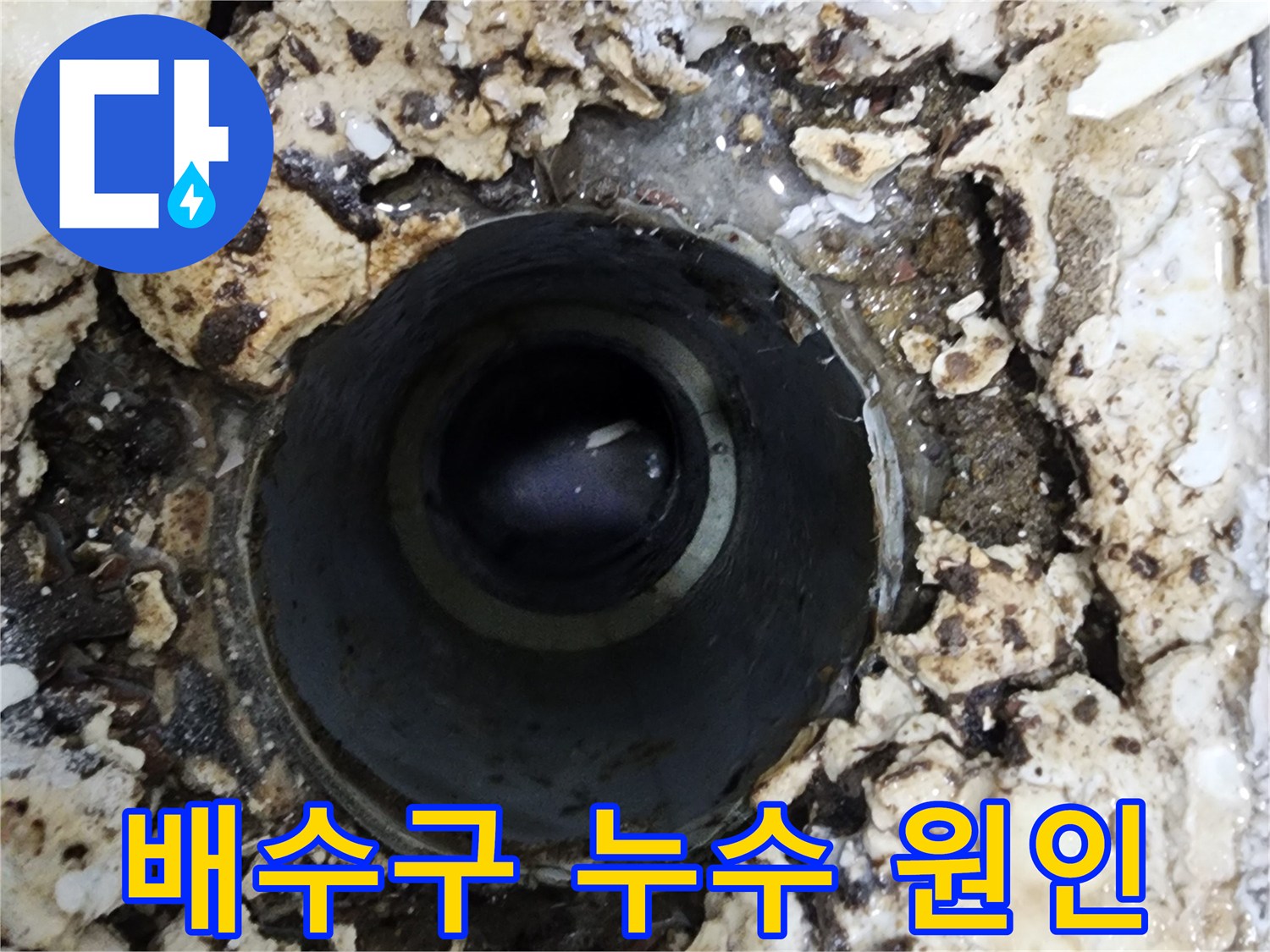 서울 서대문구 욕실 배수구 주변에서-발견된 물샘 현장의 원인을-정확하게 파악하는 모습